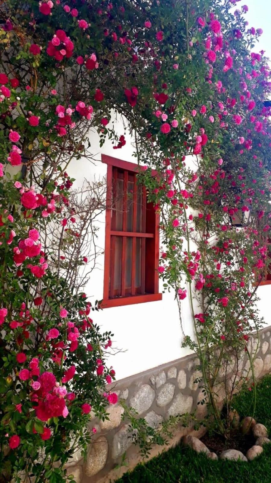 Balcones De San Carlos - Casa Balcones カファヤテ エクステリア 写真