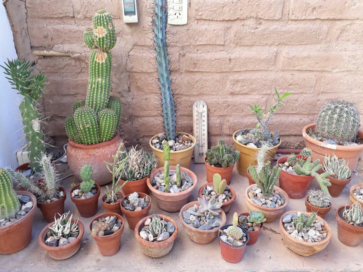 Balcones De San Carlos - Casa Balcones カファヤテ エクステリア 写真
